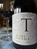 Tierra Tabuenca 2020