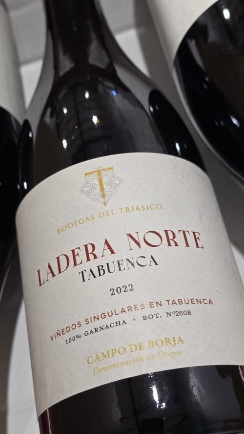 Ladera Norte 2022