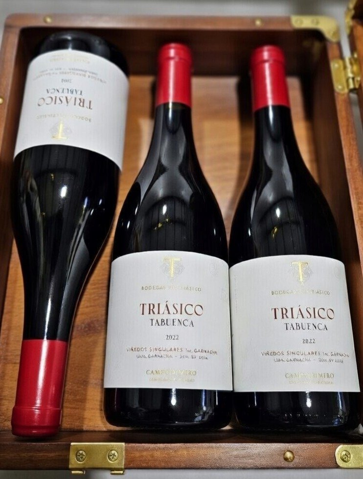 Triásico Tabuenca 2022