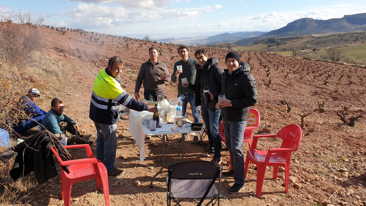 Almuerzo en el viñedo durante el trasplante