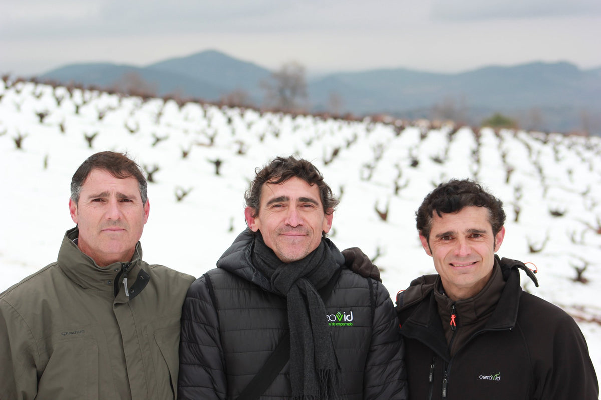 Tres amigos en el viñedo nevado
